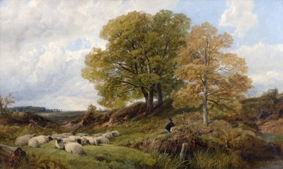 Waldszene von Frederick William Hulme