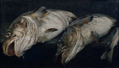 Kabeljau von Fredrik Kolstoe