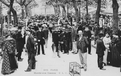 Vogelmarkt, Paris von French Photographer