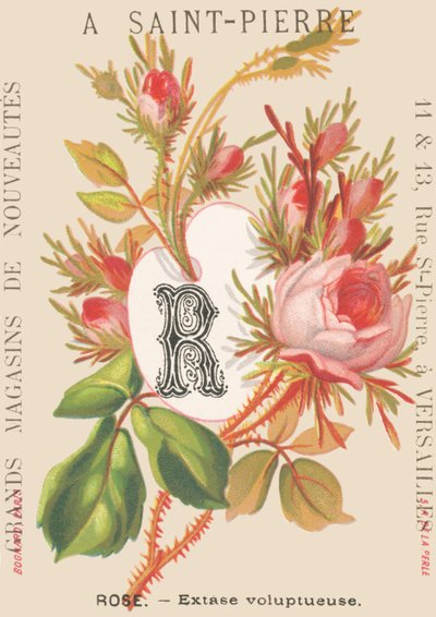 Pink - Üppige Ekstase von French School