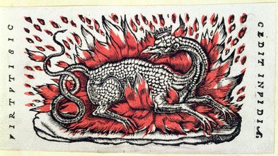 Ein Salamander, erste Hälfte des 16. Jahrhunderts von French School