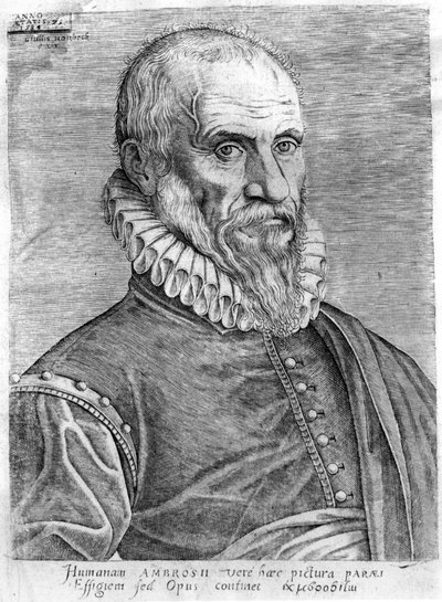 Ambroise Paré (1509-1590) von French School