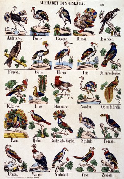 Vogelalphabet von French School