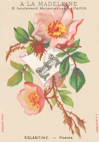 E: Eglantine - Poesie von French School