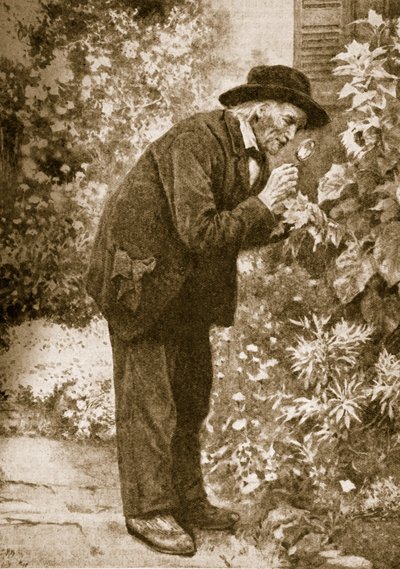 Jean-Henri Fabre beobachtet Insekten von French School