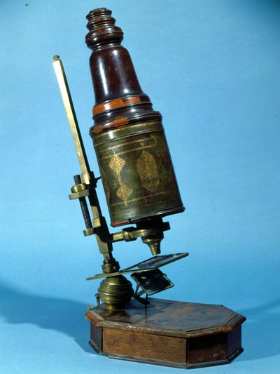 Mikroskop (Holz & Messing) von French School