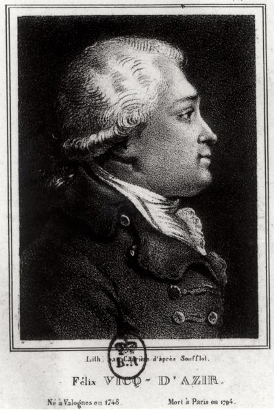 Porträt von Felix Vicq d