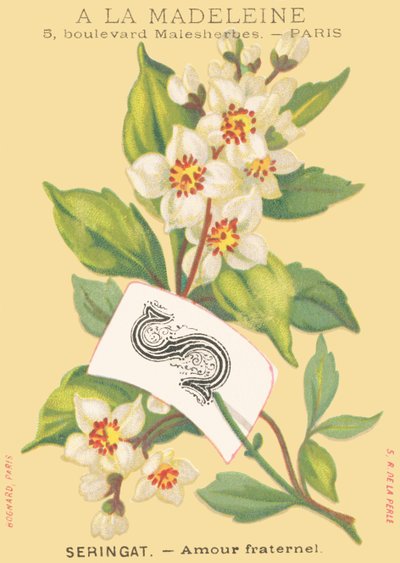 S: Seringat - Brüderliche Liebe von French School