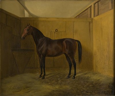 Bruno von Fritz Thomsen