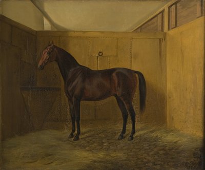 Hersilia von Fritz Thomsen