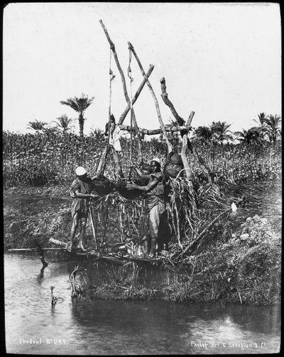 Ein Schaduf am Nil, Ägypten, um 1890 von Gabriel Lekegian