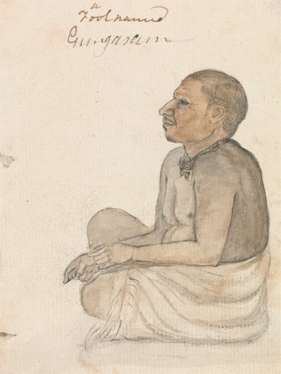 Ein Narr namens Gungarum von Gangaram Chintaman Tambat
