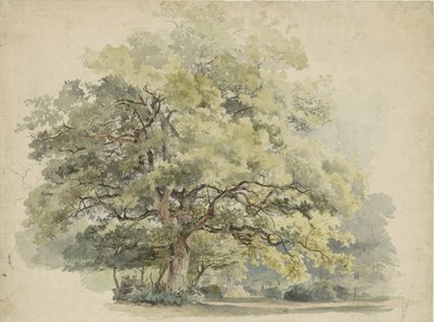 Baumstudie von George Andries Roth