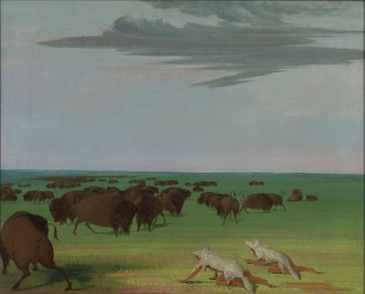 Büffeljagd unter der Wolfsmasken von George Catlin
