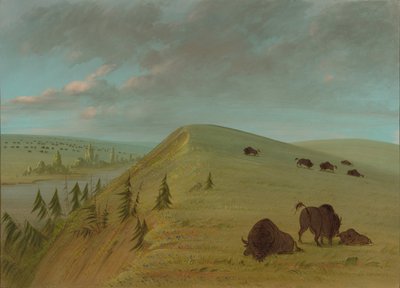 Cedar Bluffs von George Catlin