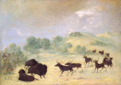 Elch und Büffel machen Bekanntschaft, Texas von George Catlin
