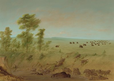 Im Schlamm steckender Büffel und Wölfe von George Catlin