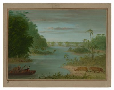 Pont de Palmiers und Tigerjagd von George Catlin