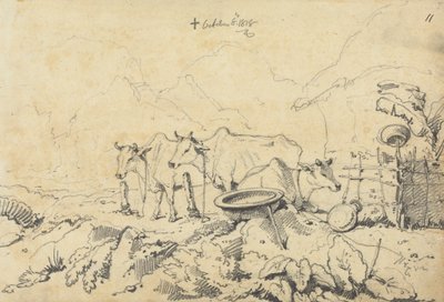 Drei angebundene Kühe von George Chinnery