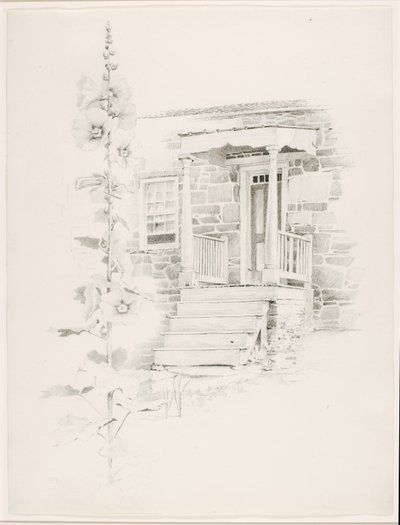 Ohne Titel (Stockrose) von George Elbert Burr
