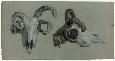 Widder-Schädel von George Hayter
