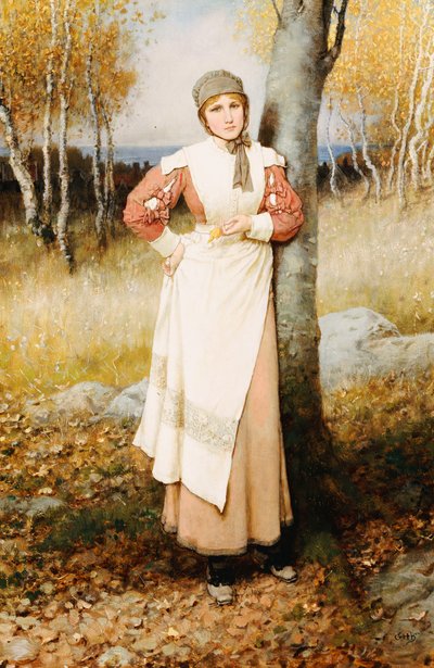 Eine Rose in Neuengland von George Henry Boughton