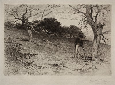 Landschaft, 1883 von George Henry Smillie