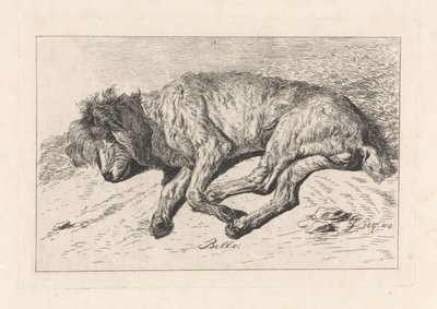 Schlafender Hund von George Jooss