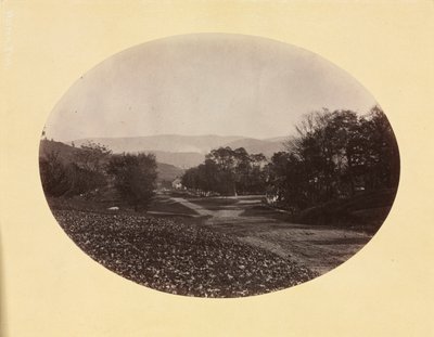 Eine Straße in Williamstown von George Kendall Warren