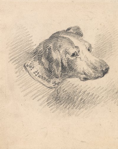 Kopf eines Hundes von George Morland