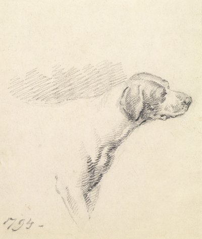 Studie eines Hundes, 1794 von George Morland