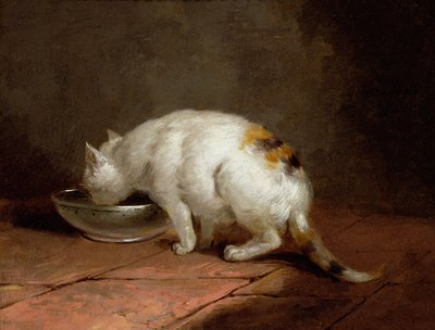 Die Katze des Künstlers trinkt von George Morland