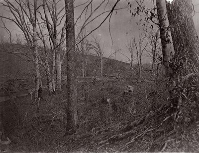 Bull Run, Virginia von George N. Barnard