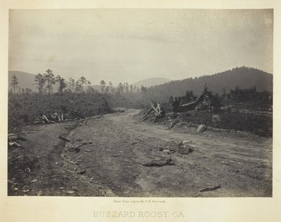 Buzzard Roost, GA, 1866 von George N. Barnard