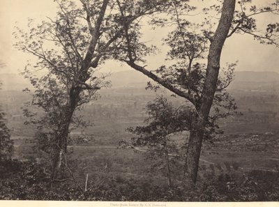 Obstgarten-Knopf vom Missionskamm von George N. Barnard