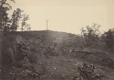 Pine Mountain, 1860er Jahre von George N. Barnard