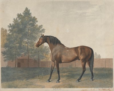 "Amboss" von George Stubbs
