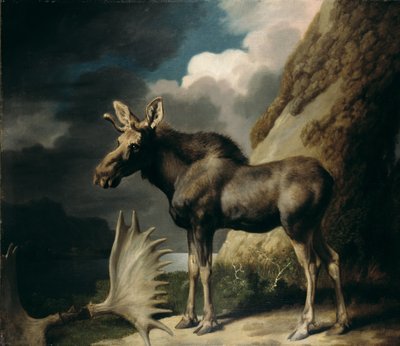 Elch, 1770 von George Stubbs