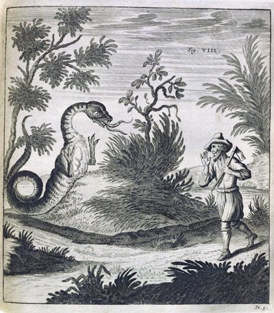 Ein furchterregender Drache, um 1660 von German School