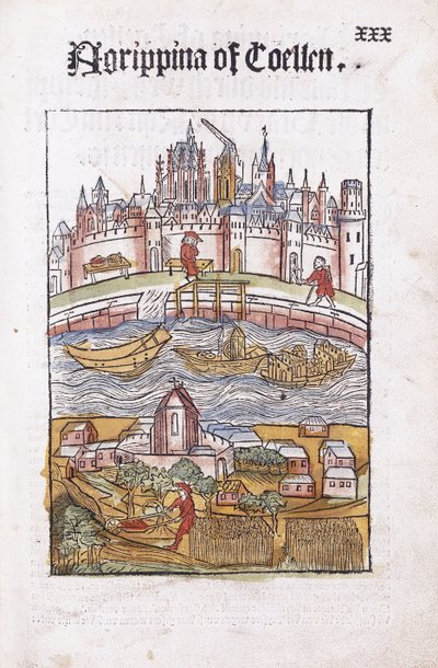 Agrippina von Köln von German School