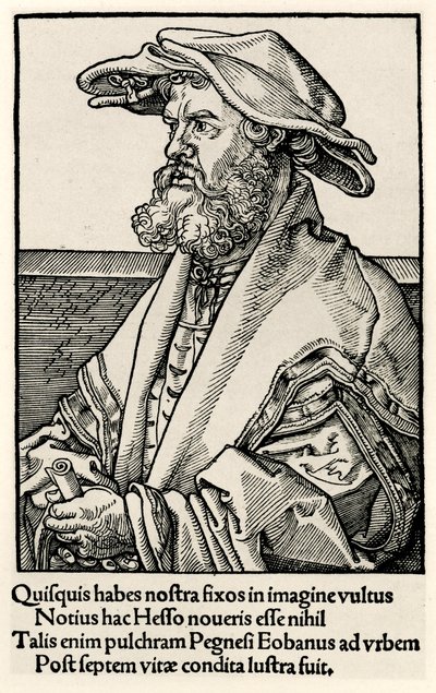 Eobanus Hessus von German School