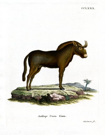 Gnu von German School