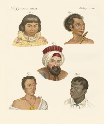 Illustration der Hauptmenschenrassen von German School