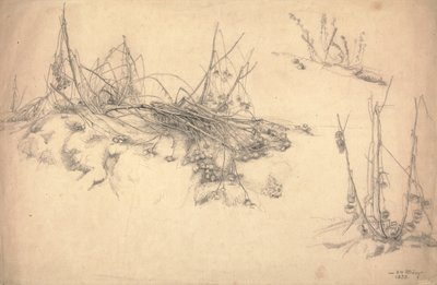 Studie einer Distel, 24. März von German School