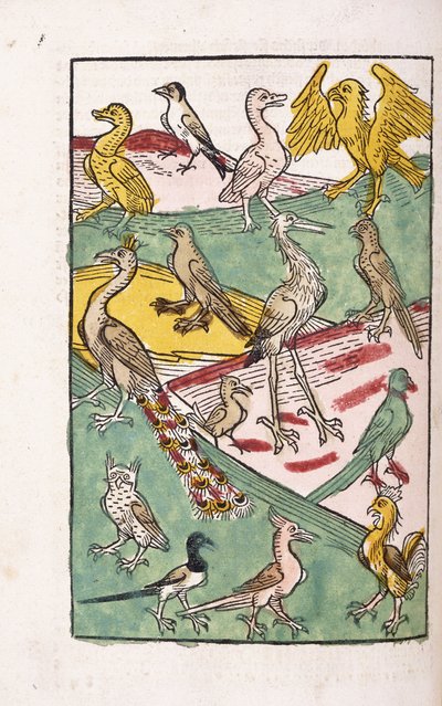 Verschiedene Vogelarten in einer Landschaft, 1499 von German School