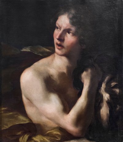 David von Gian Lorenzo Bernini