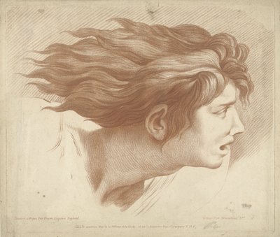 Kopf eines Mannes mit flatterndem Haar von Gilles Demarteau