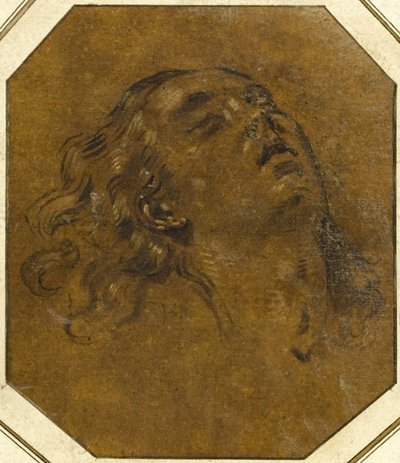 Weiblicher Kopf von Giovan Gioseffo dal Sole