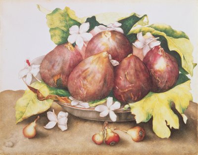 Feigen auf Blättern von Giovanna Garzoni