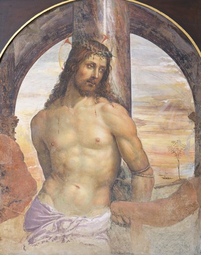 Christus an der Säule von Giovanni Antonio Bazzi Sodoma